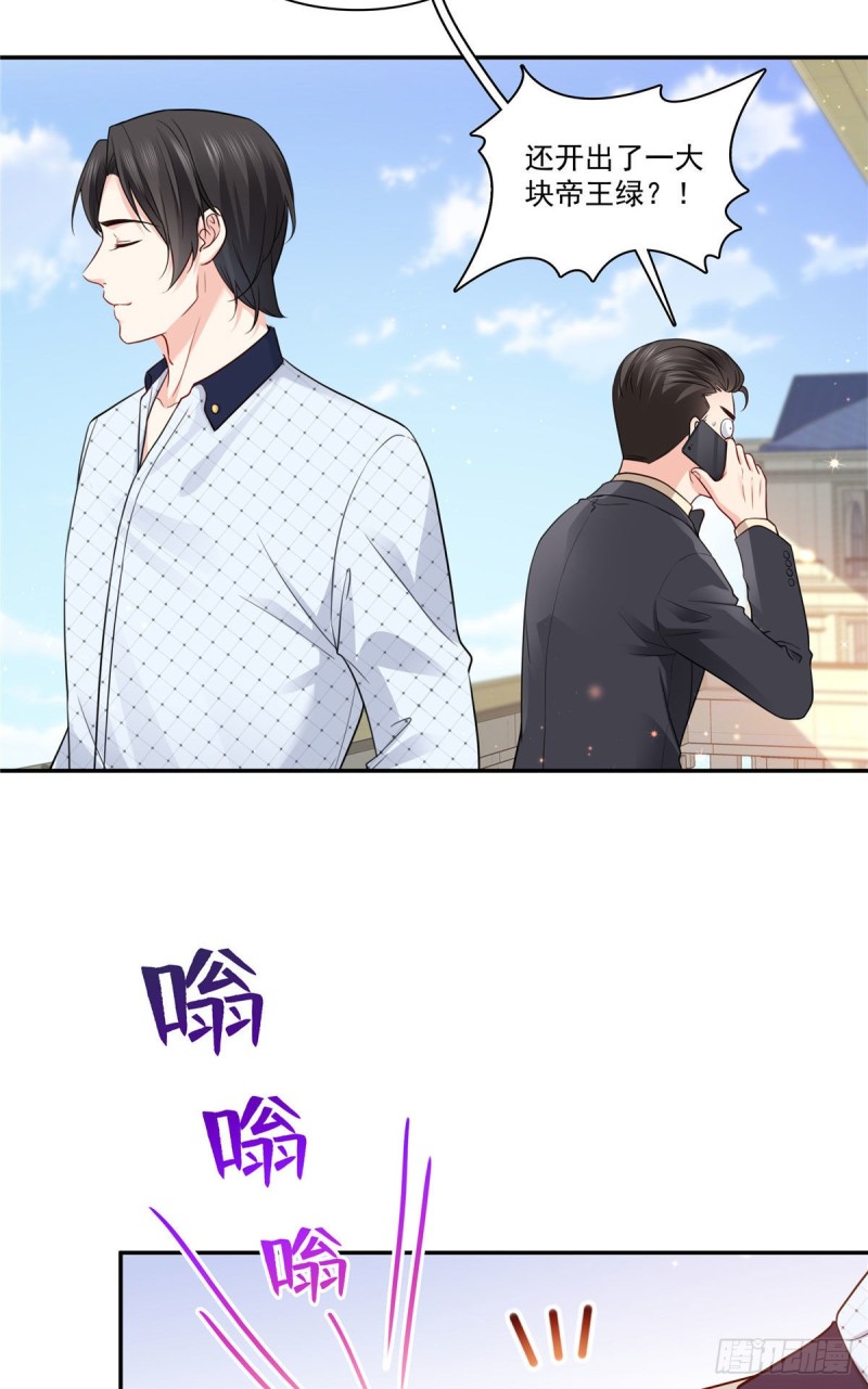 第一百六十七话  真正的帝王绿27