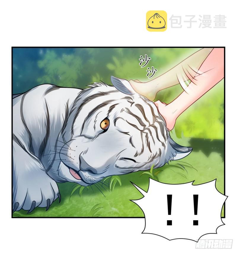 第六十七话 自由的条件33