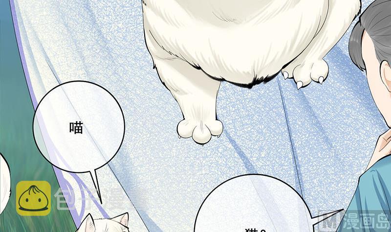 第三季 第241话 算计41