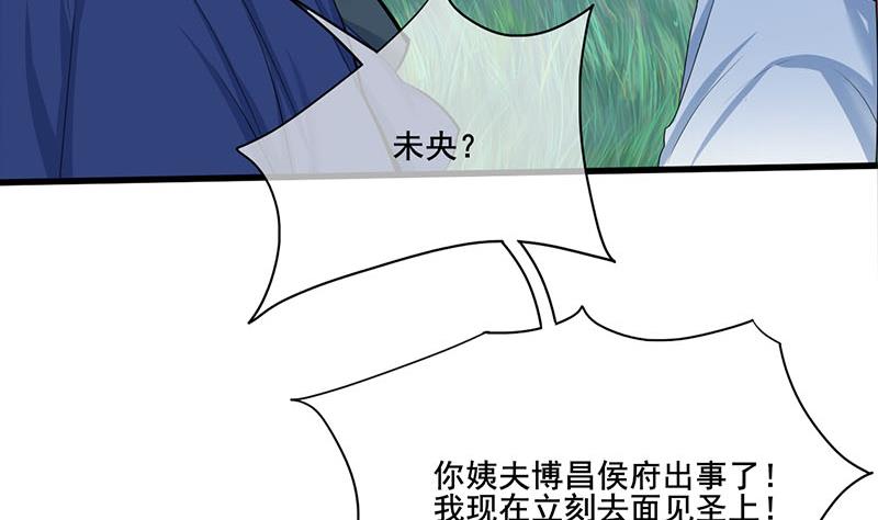 第三季 第256话 魏国夫人25