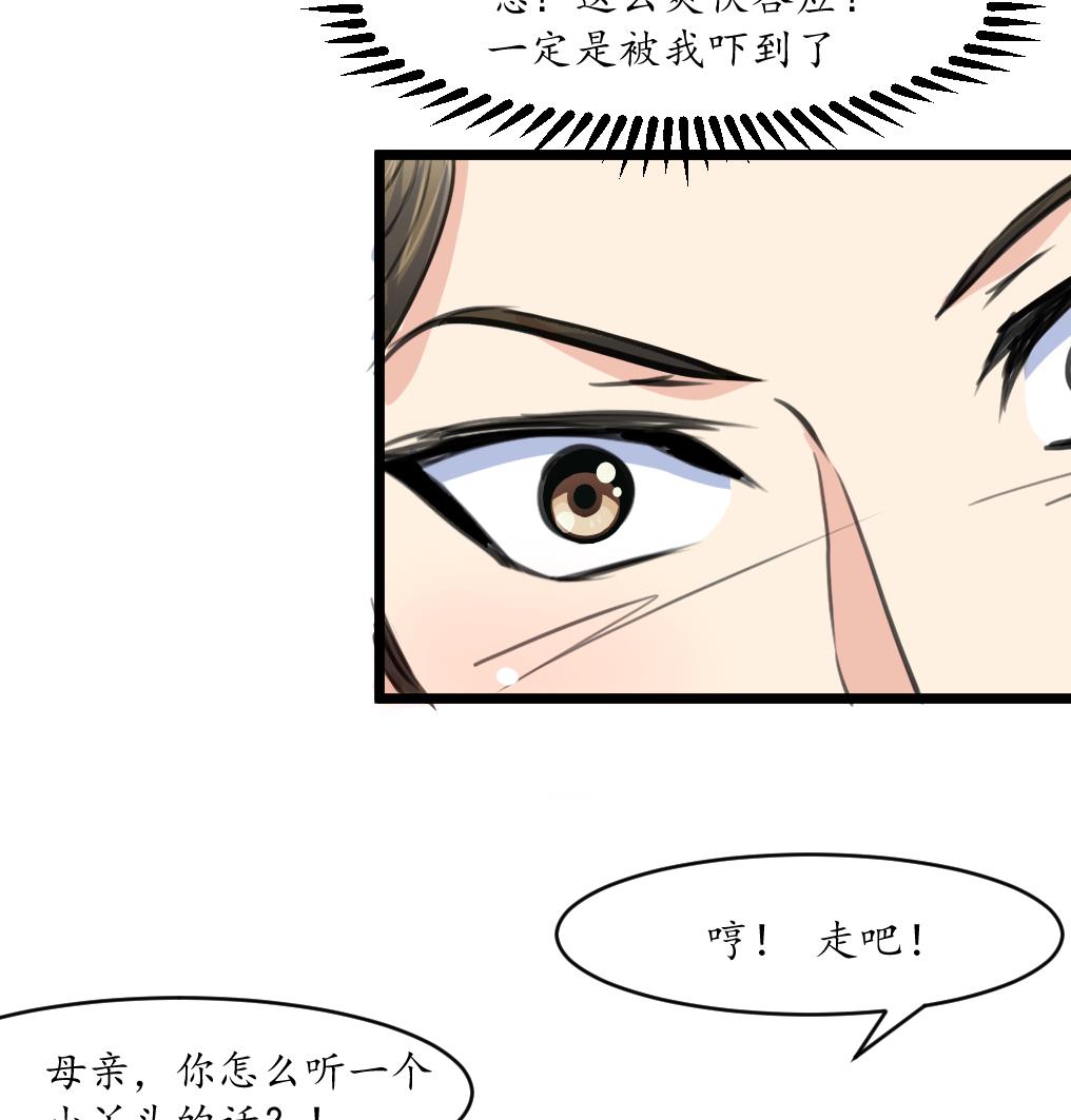 第228话 来探病的魏夫人26