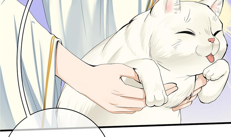 第三季 第241话 算计53