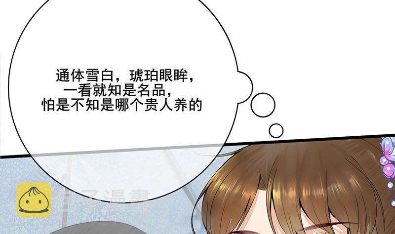 第三季 第241话 算计50