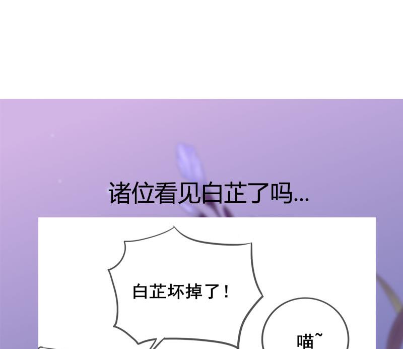 第三季 第241话 算计59