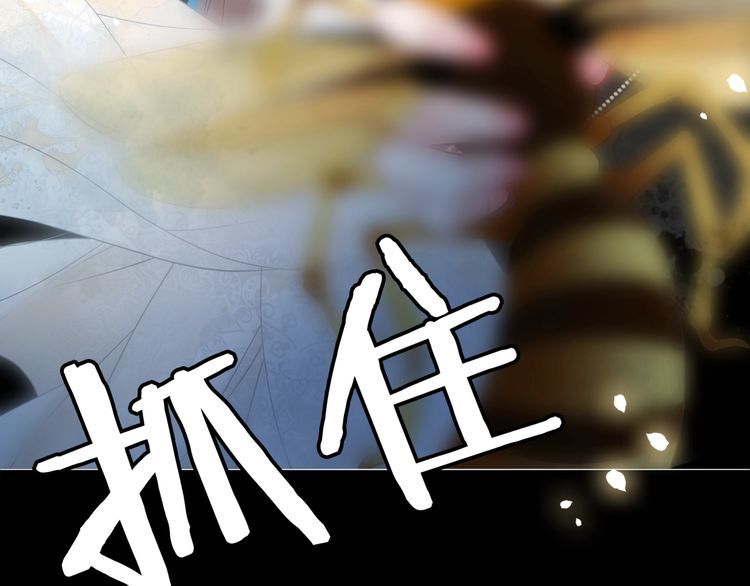 第201话 新的夥伴？41
