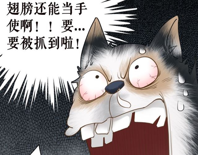 第106话 危机时刻73