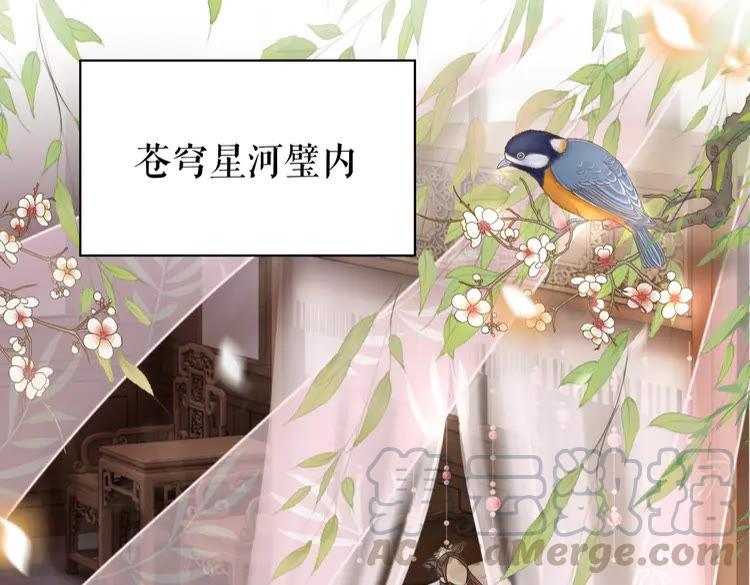 第147话 神秘少主79