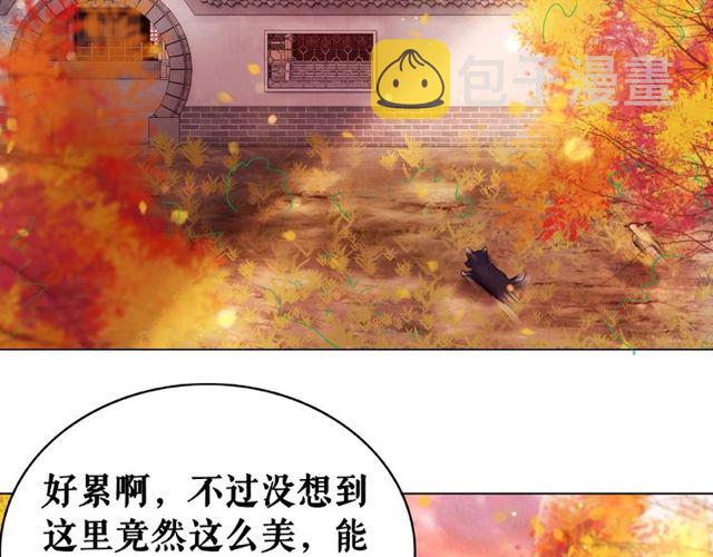 第42话 谁动了九儿？4