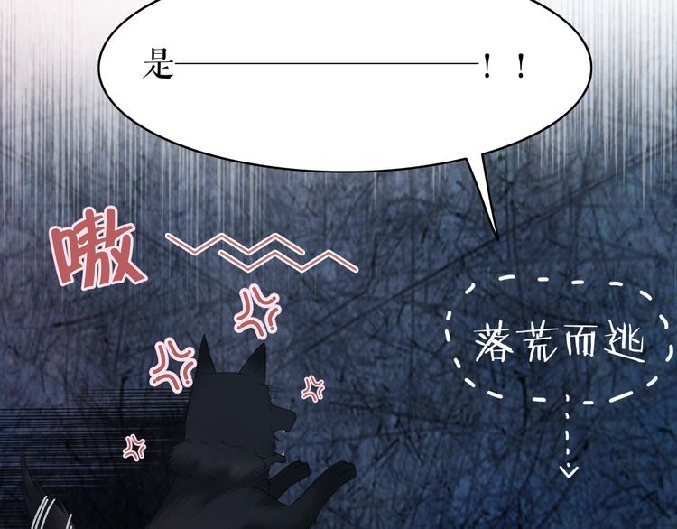第192话 神秘男子32