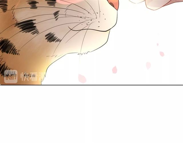 第61话 契约成功，双双晋级！87