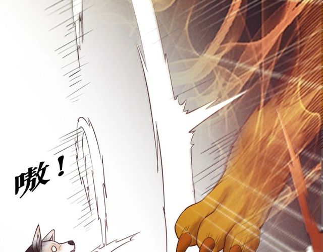 第48话 都给本尊住手！81