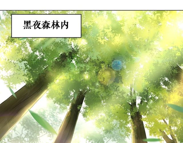 第66话 本小姐可不会同情弱者45