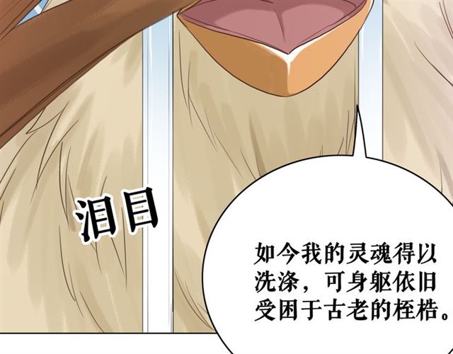 第107话 腹黑vs狡诈41