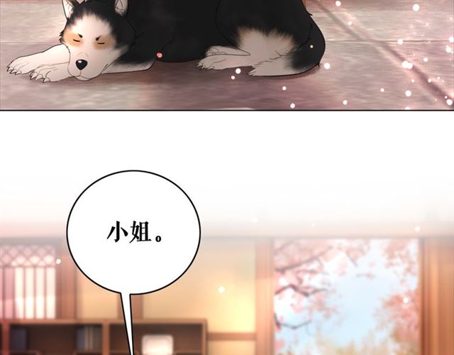 第113话 令人头痛的婚契10