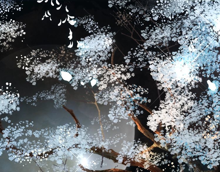 第192话 神秘男子138