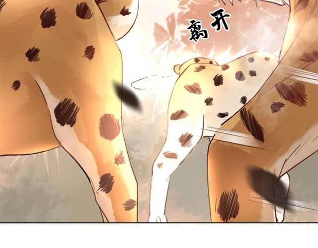 第61话 契约成功，双双晋级！70