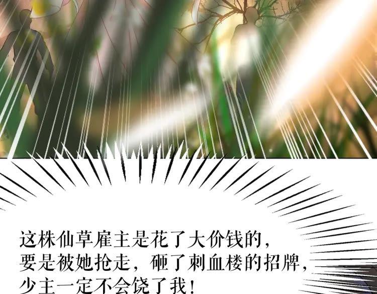 第147话 神秘少主19