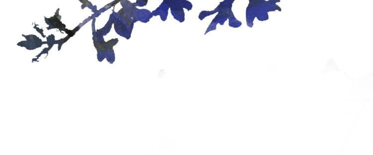 第183话 身手初露111