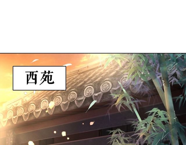 第52话 单凭姑娘调遣！100
