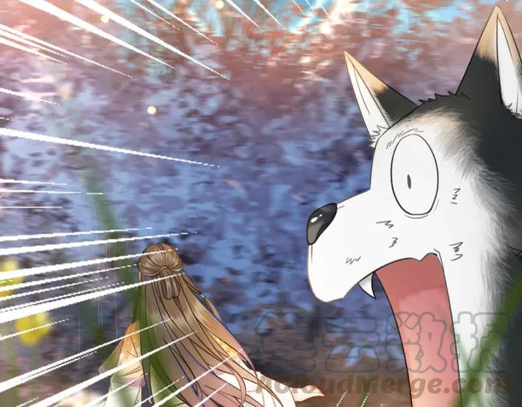 第147话 神秘少主59