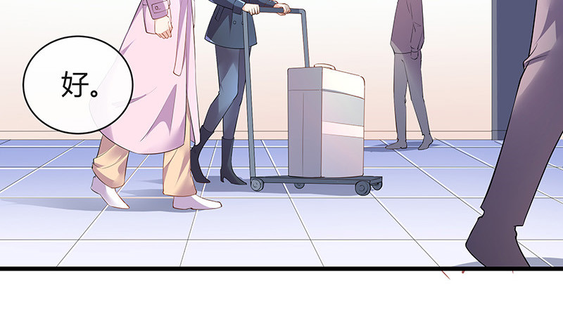 第188话 夫人似乎怀孕了 252