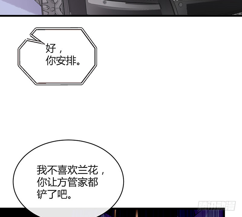 第172话 将兰花都铲了吧46