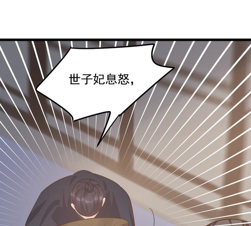 第64话 朱雀令17