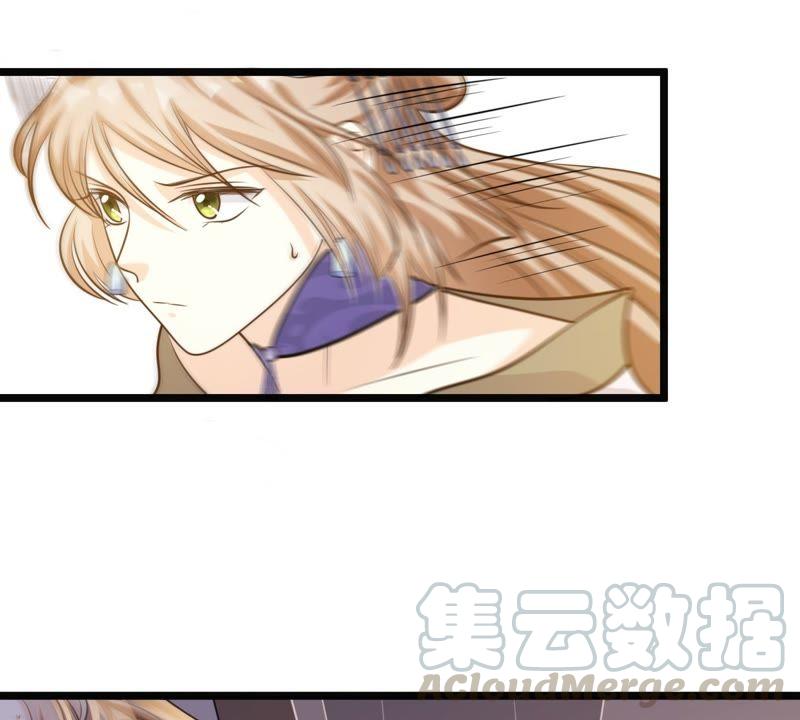 第51话 皇帝的男宠？74