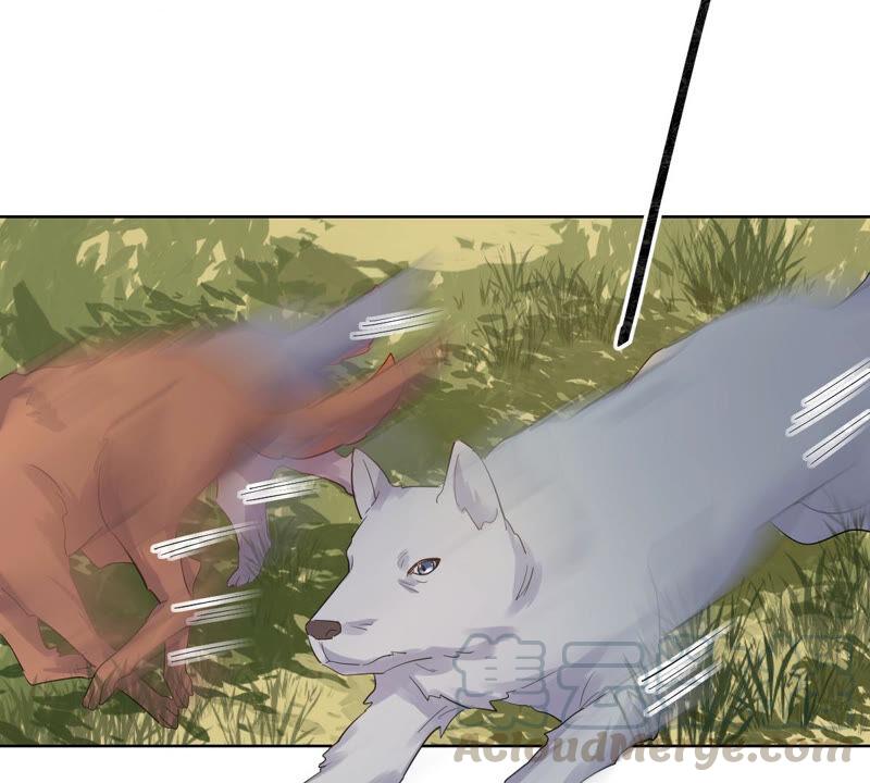 第105话 再遇红衣男子40