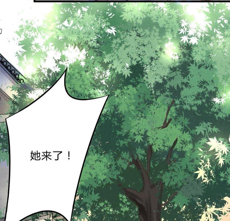 第7话 桂花树上的阴谋64