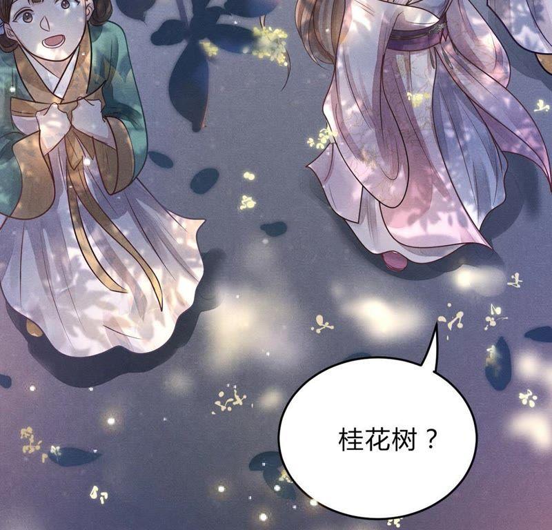 第7话 桂花树上的阴谋34