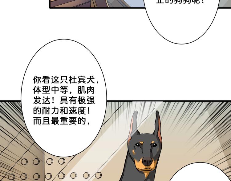 第66话 老祖20