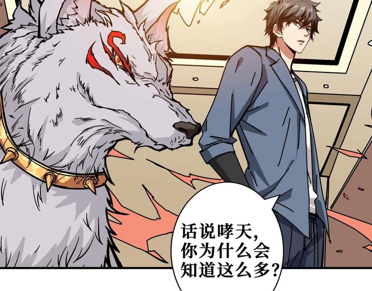 第184话 狗子出马！4