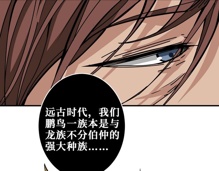 第202话 龙的踪迹71