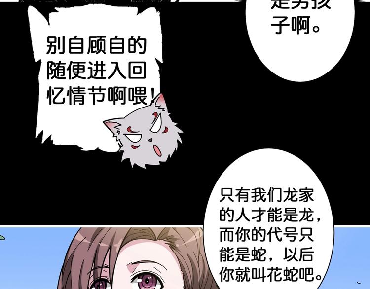 第87话 高手高手，这是高手57