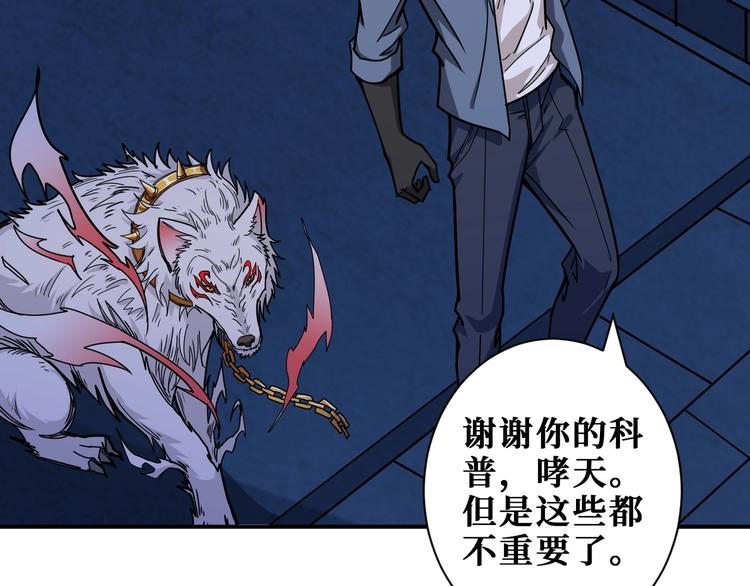第188话 叫我野王25