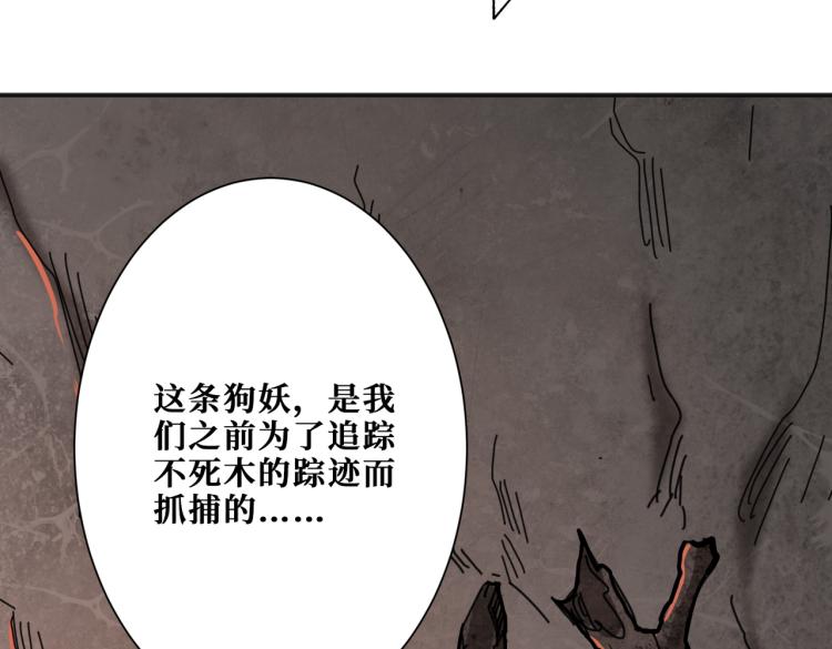 第265话 绝望之森151