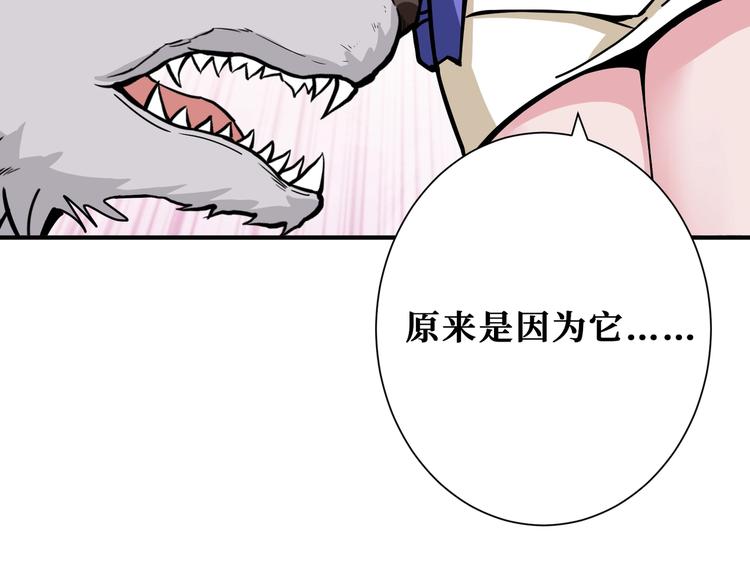第234话 难道我爱的是狗？104