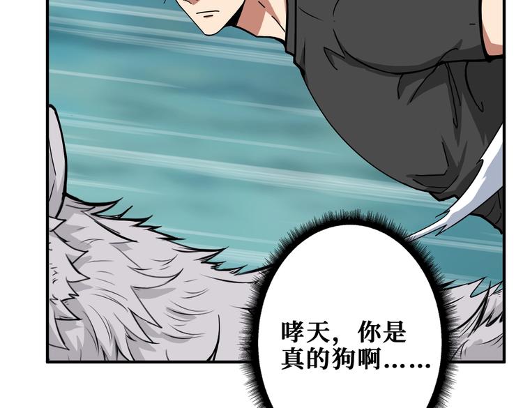第238话 高手过招，招招有病106