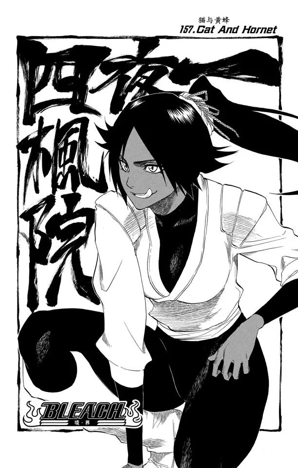 第157话 猫与黄蜂5