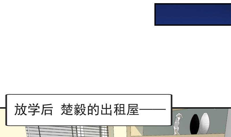 第133话 小霉神5