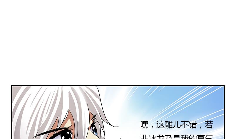 第328话 灵兽22