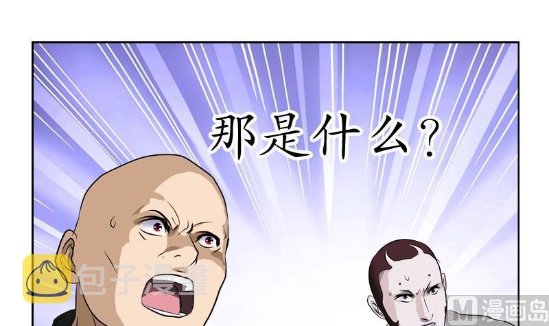 第95话 陆宁的怒火29