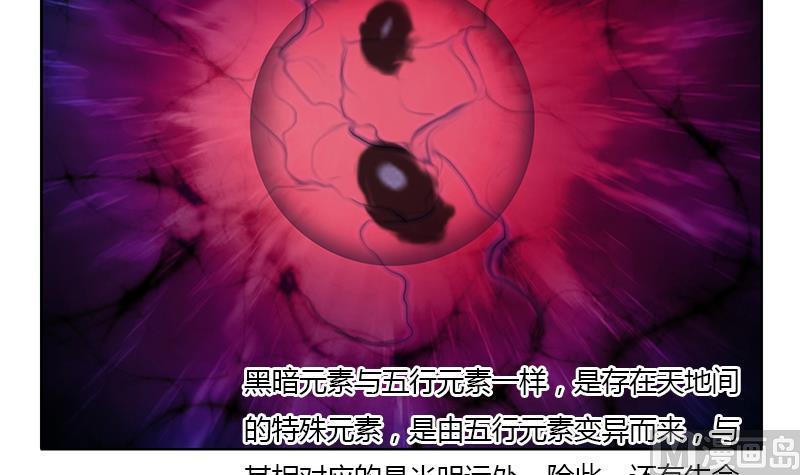 第326话 黑暗元素29