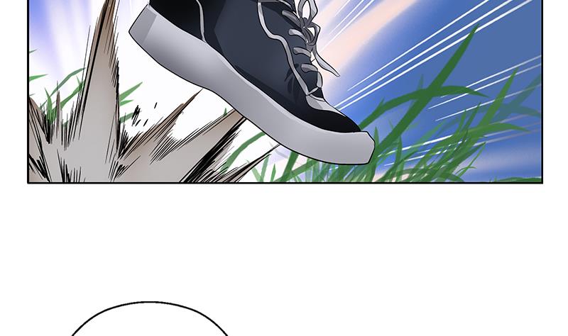 第328话 灵兽31