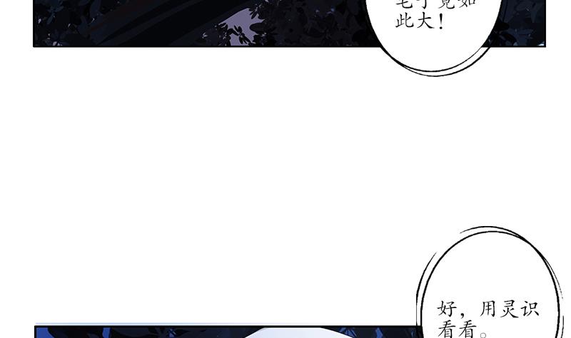 第157话 暗访48