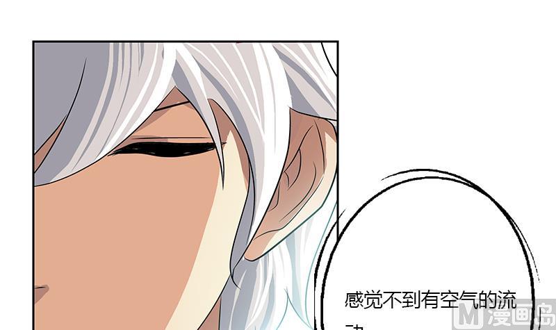 第335话 张奇17