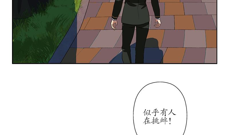第244话 卧虎堂的挑衅22