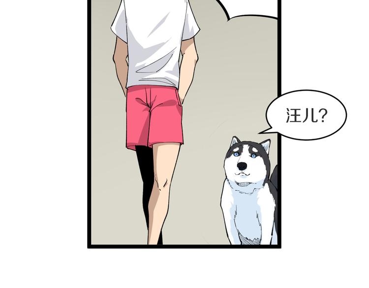 第159话 灵犬灵犬8