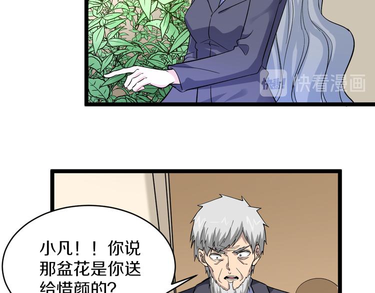 第151话 稀世灵花52
